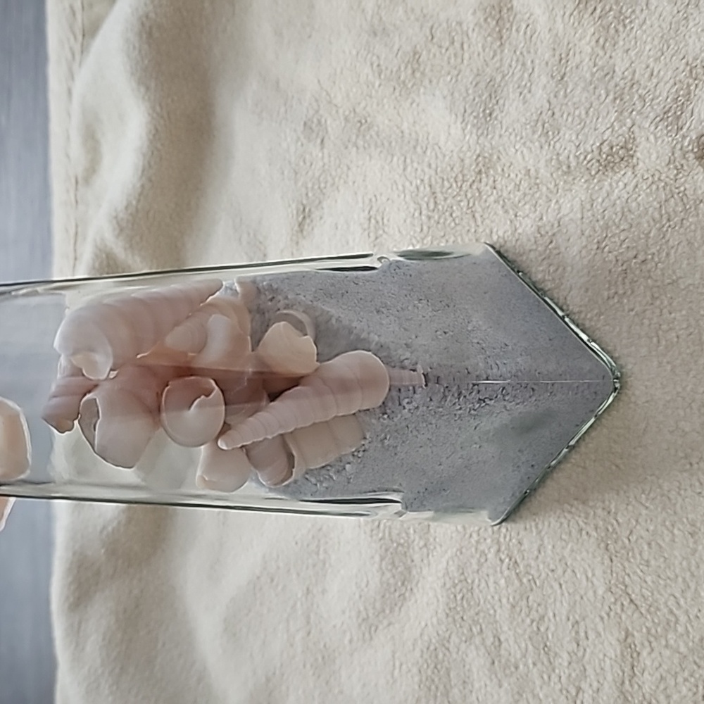 Colour Sand With Shells - Picture 2 of 2